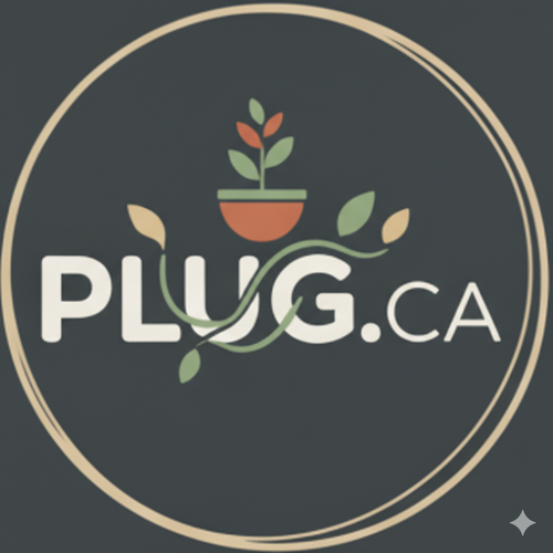 PLUG.Ca